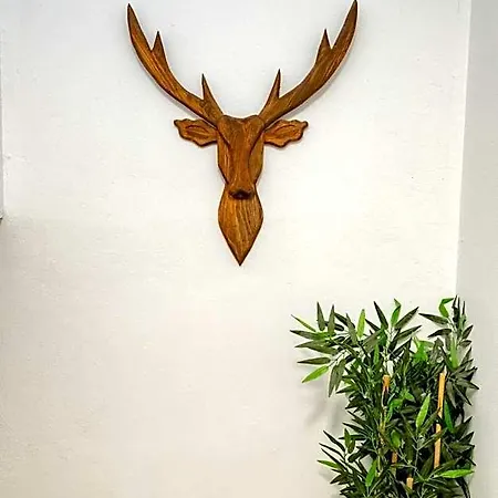 Pesa Aparthotel 3*